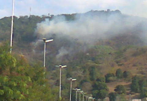 Bonito-PE: Natureza se recuperando depois de queimadas criminosas.