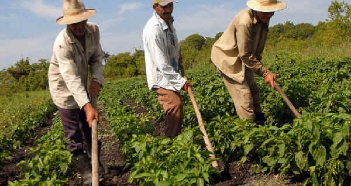 Projeto do Vereador Pedro do Rodeador visa melhorar à comercialização de produtos dos agricultores rurais de Bonito.