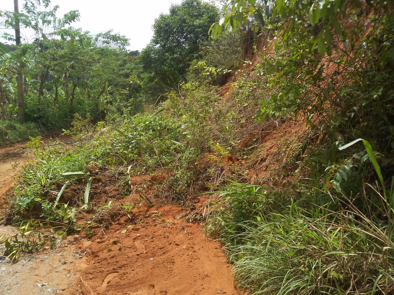 Moradores e motoristas sofrem no desvio de acesso da PE-103 entre Bonito e Palmares.